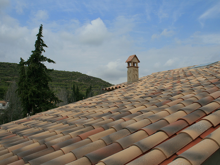 Teja curva Montseny