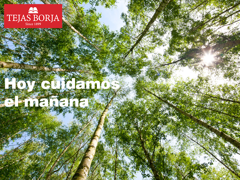Política de Calidad y Medio Ambiente